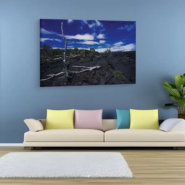 Multicolor_Barren_Land,_Wooden_Framed_Canvas_Paintings_|_For_Home_Decor_|_Bedroom,_Living_Room,Wall_Decoration_|_Wall_Art_Painting,_Ct0958,_Size_16_X_24_In