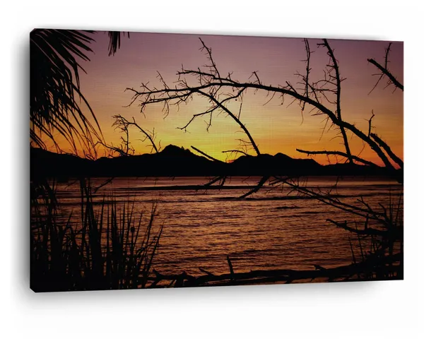Multicolor_Sunlights_Through_The_Trees,_Wooden_Framed_Canvas_Paintings_|_For_Home_Decor_|_Bedroom,_Living_Room,Wall_Decoration_|_Wall_Art_Painting,_Ct0960,_Size_16_X_24_In