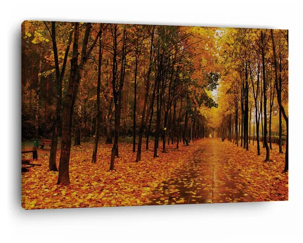Multicolor_Park_The_Avenue_Trees_Autumn,_Wooden_Framed_Canvas_Paintings_|_For_Home_Decor_|_Bedroom,_Living_Room,Wall_Decoration_|_Wall_Art_Painting,_Ct0967,_Size_16_X_24_In