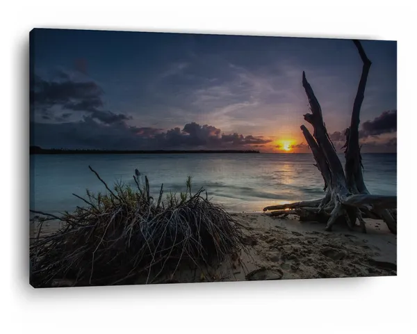 Multicolor_Dead_Trees_On_A_Beach_At_Sunset,_Wooden_Framed_Canvas_Paintings_|_For_Home_Decor_|_Bedroom,_Living_Room,Wall_Decoration_|_Wall_Art_Painting,_Ct0983,_Size_16_X_24_In