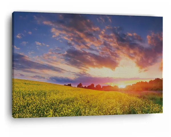 Multicolor_Spring_Time,_Pretty,_Colorful,_Grass,_Wooden_Framed_Canvas_Paintings_|_For_Home_Decor_|_Bedroom,_Living_Room,Wall_Decoration_|_Wall_Art_Painting,_Ct0990,_Size_16_X_24_In