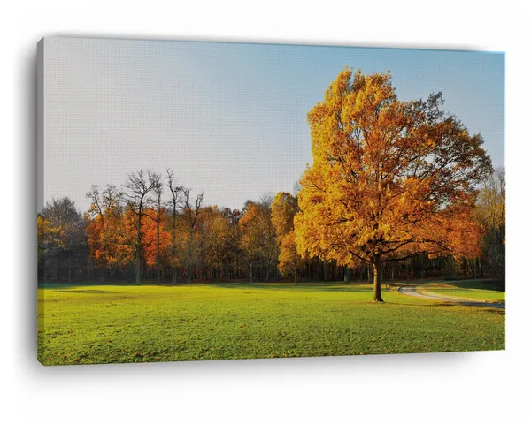 Multicolor_Abstract,_Wooden_Framed_Canvas_Paintings_|_For_Home_Decor_|_Bedroom,_Living_Room,Wall_Decoration_|_Wall_Art_Painting,_Ct0995,_Size_16_X_24_In