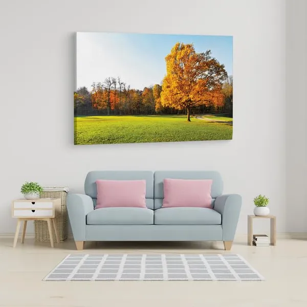 Multicolor_Abstract,_Wooden_Framed_Canvas_Paintings_|_For_Home_Decor_|_Bedroom,_Living_Room,Wall_Decoration_|_Wall_Art_Painting,_Ct0995,_Size_16_X_24_In