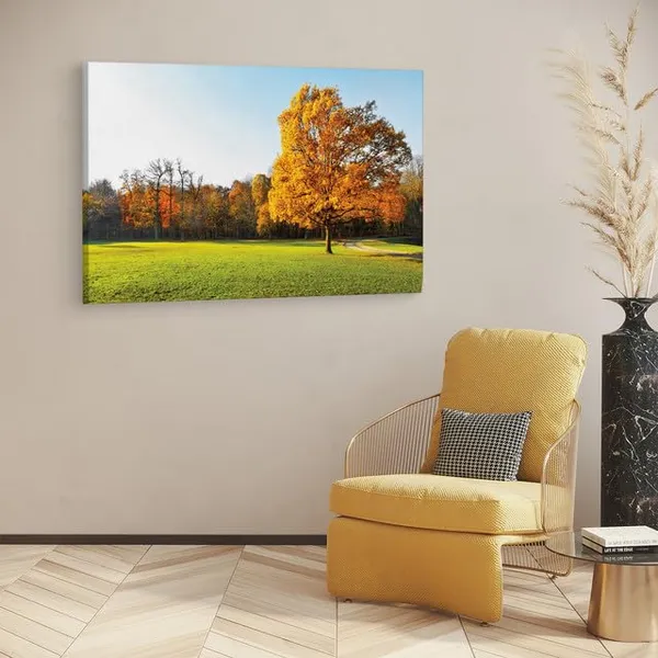 Multicolor_Abstract,_Wooden_Framed_Canvas_Paintings_|_For_Home_Decor_|_Bedroom,_Living_Room,Wall_Decoration_|_Wall_Art_Painting,_Ct0995,_Size_16_X_24_In