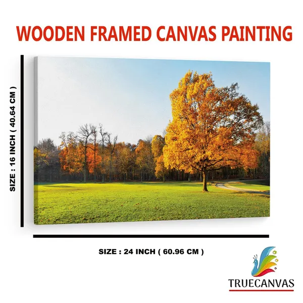 Multicolor_Abstract,_Wooden_Framed_Canvas_Paintings_|_For_Home_Decor_|_Bedroom,_Living_Room,Wall_Decoration_|_Wall_Art_Painting,_Ct0995,_Size_16_X_24_In