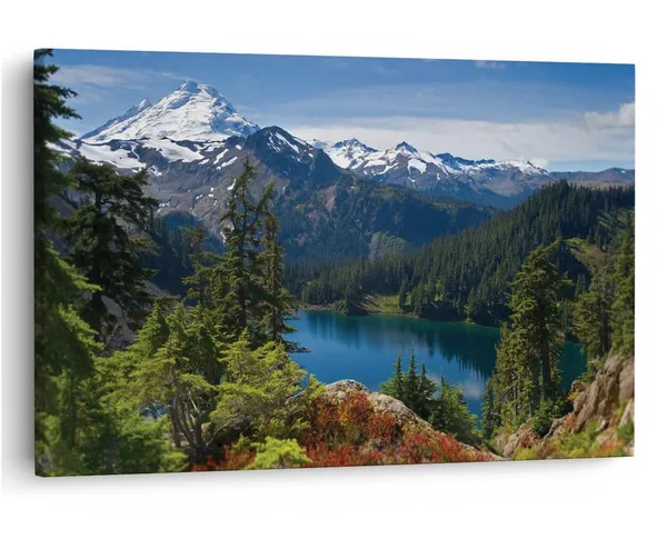Multicolor_16_X_24_Inch,_Pine_Wood_Framed_Canvas_Paintings_|_For_Home_Decor,_Ready_To_Wall_Hanging,_Premium_Painting_|_For_|_Bedroom,_Living_Room,_Office_Wall_Decoration_|_Wall_Art_Painting,_Ct1003