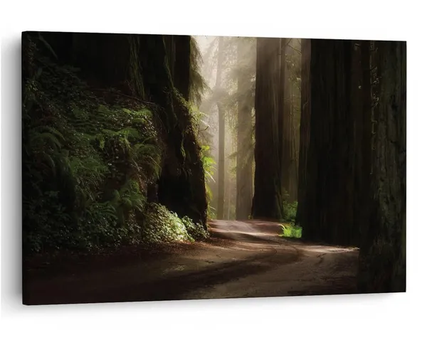 Multicolor_16_X_24_Inch,_Pine_Wood_Framed_Canvas_Paintings_|_For_Home_Decor,_Ready_To_Wall_Hanging,_Premium_Painting_|_For_|_Bedroom,_Living_Room,_Office_Wall_Decoration_|_Wall_Art_Painting,_Ct1006