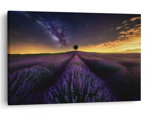 Multicolor_16_X_24_Inch,_Pine_Wood_Framed_Canvas_Paintings_|_For_Home_Decor,_Ready_To_Wall_Hanging,_Premium_Painting_|_For_|_Bedroom,_Living_Room,_Office_Wall_Decoration_|_Wall_Art_Painting,_Ct1008