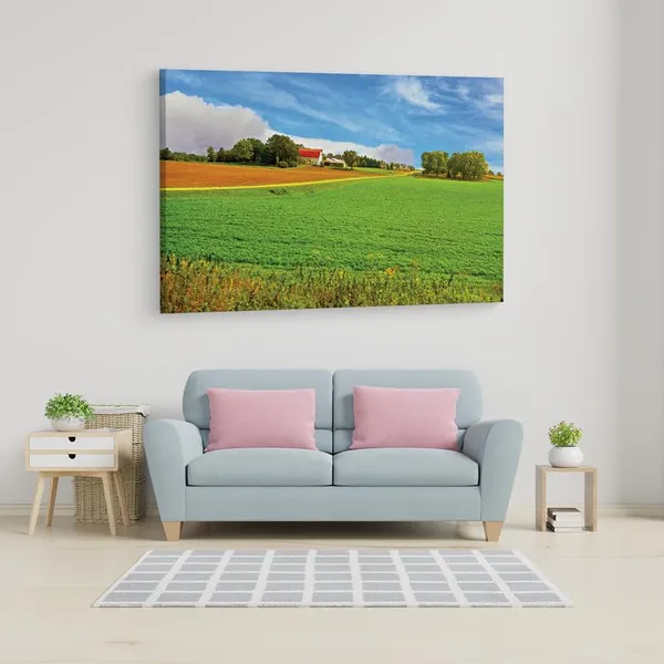 Multicolor_16_X_24_Inch,_Pine_Wood_Framed_Canvas_Paintings_|_For_Home_Decor,_Ready_To_Wall_Hanging,_Premium_Painting_|_For_|_Bedroom,_Living_Room,_Office_Wall_Decoration_|_Wall_Art_Painting,_Ct1009