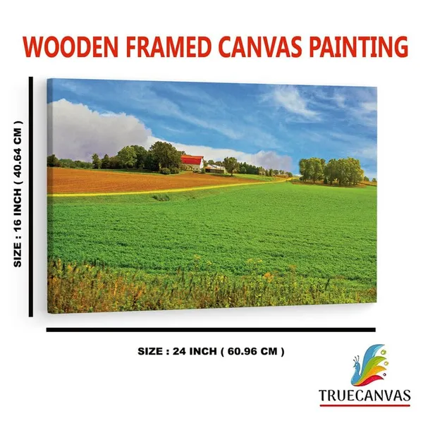 Multicolor_16_X_24_Inch,_Pine_Wood_Framed_Canvas_Paintings_|_For_Home_Decor,_Ready_To_Wall_Hanging,_Premium_Painting_|_For_|_Bedroom,_Living_Room,_Office_Wall_Decoration_|_Wall_Art_Painting,_Ct1009