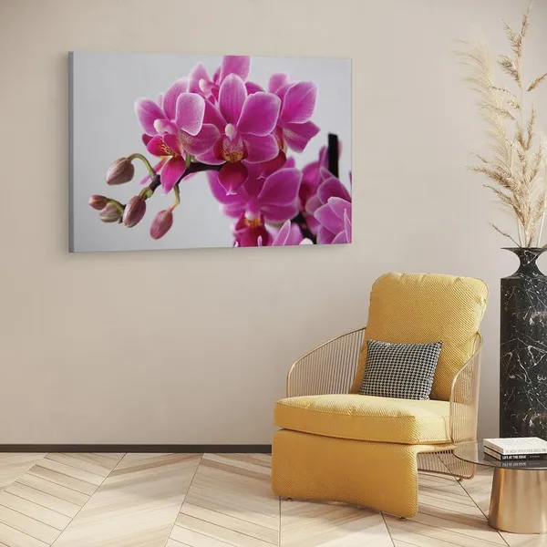 Multicolor_16_X_24_Inch,_Pine_Wood_Framed_Canvas_Paintings_|_For_Home_Decor,_Ready_To_Wall_Hanging,_Premium_Painting_|_For_|_Bedroom,_Living_Room,_Office_Wall_Decoration_|_Wall_Art_Painting,_Ct1012