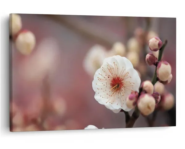 Multicolor_16_X_24_Inch,_Pine_Wood_Framed_Canvas_Paintings_|_For_Home_Decor,_Ready_To_Wall_Hanging,_Premium_Painting_|_For_|_Bedroom,_Living_Room,_Office_Wall_Decoration_|_Wall_Art_Painting,_Ct1016
