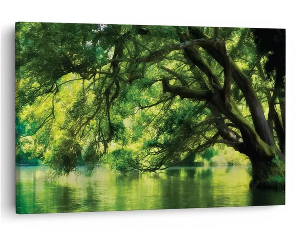 Multicolor_16_X_24_Inch,_Pine_Wood_Framed_Canvas_Paintings_|_For_Home_Decor,_Ready_To_Wall_Hanging,_Premium_Painting_|_For_|_Bedroom,_Living_Room,_Office_Wall_Decoration_|_Wall_Art_Painting,_Ct1020