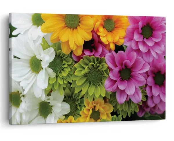 Multicolor_16_X_24_Inch,_Pine_Wood_Framed_Canvas_Paintings_|_For_Home_Decor,_Ready_To_Wall_Hanging,_Premium_Painting_|_For_|_Bedroom,_Living_Room,_Office_Wall_Decoration_|_Wall_Art_Painting,_Ct1022