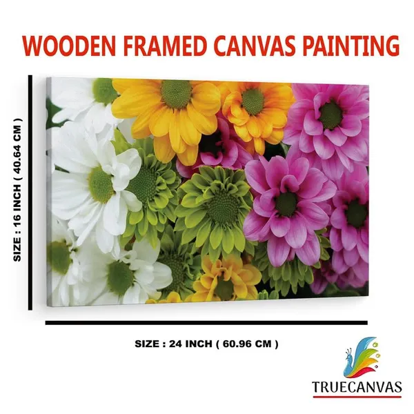 Multicolor_16_X_24_Inch,_Pine_Wood_Framed_Canvas_Paintings_|_For_Home_Decor,_Ready_To_Wall_Hanging,_Premium_Painting_|_For_|_Bedroom,_Living_Room,_Office_Wall_Decoration_|_Wall_Art_Painting,_Ct1022