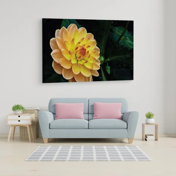 Multicolor_16_X_24_Inch,_Pine_Wood_Framed_Canvas_Paintings_|_For_Home_Decor,_Ready_To_Wall_Hanging,_Premium_Painting_|_For_|_Bedroom,_Living_Room,_Office_Wall_Decoration_|_Wall_Art_Painting,_Ct1025