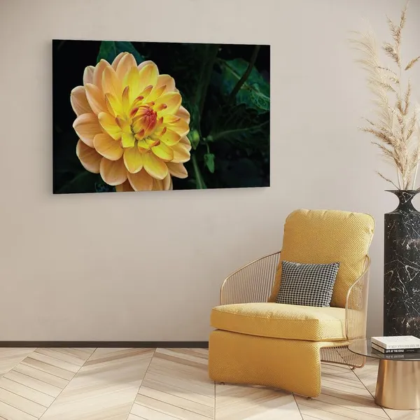 Multicolor_16_X_24_Inch,_Pine_Wood_Framed_Canvas_Paintings_|_For_Home_Decor,_Ready_To_Wall_Hanging,_Premium_Painting_|_For_|_Bedroom,_Living_Room,_Office_Wall_Decoration_|_Wall_Art_Painting,_Ct1025