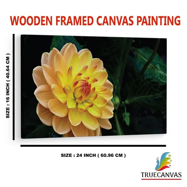 Multicolor_16_X_24_Inch,_Pine_Wood_Framed_Canvas_Paintings_|_For_Home_Decor,_Ready_To_Wall_Hanging,_Premium_Painting_|_For_|_Bedroom,_Living_Room,_Office_Wall_Decoration_|_Wall_Art_Painting,_Ct1025