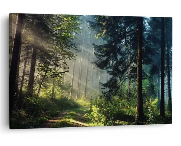 Multicolor_16_X_24_Inch,_Pine_Wood_Framed_Canvas_Paintings_|_For_Home_Decor,_Ready_To_Wall_Hanging,_Premium_Painting_|_For_|_Bedroom,_Living_Room,_Office_Wall_Decoration_|_Wall_Art_Painting,_Ct1028