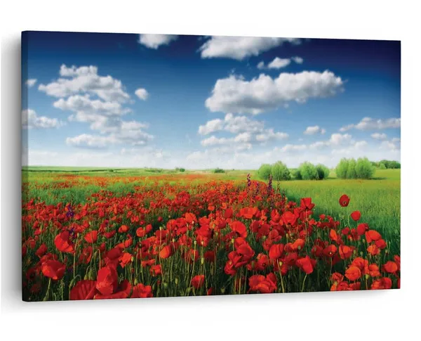 Multicolor_16_X_24_Inch,_Pine_Wood_Framed_Canvas_Paintings_|_For_Home_Decor,_Ready_To_Wall_Hanging,_Premium_Painting_|_For_|_Bedroom,_Living_Room,_Office_Wall_Decoration_|_Wall_Art_Painting,_Ct1035