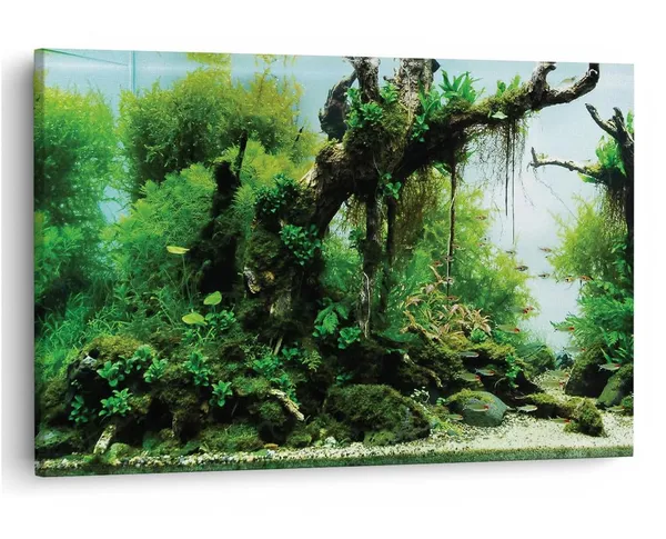 Multicolor_16_X_24_Inch,_Pine_Wood_Framed_Canvas_Paintings_|_For_Home_Decor,_Ready_To_Wall_Hanging,_Premium_Painting_|_For_|_Bedroom,_Living_Room,_Office_Wall_Decoration_|_Wall_Art_Painting,_Ct1038