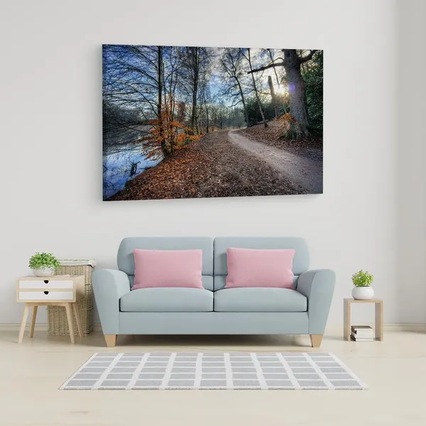 Multicolor_16_X_24_Inch,_Pine_Wood_Framed_Canvas_Paintings_|_For_Home_Decor,_Ready_To_Wall_Hanging,_Premium_Painting_|_For_|_Bedroom,_Living_Room,_Office_Wall_Decoration_|_Wall_Art_Painting,_Ct1043
