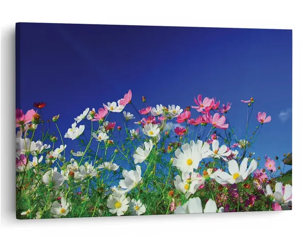 Multicolor_16_X_24_Inch,_Pine_Wood_Framed_Canvas_Paintings_|_For_Home_Decor,_Ready_To_Wall_Hanging,_Premium_Painting_|_For_|_Bedroom,_Living_Room,_Office_Wall_Decoration_|_Wall_Art_Painting,_Ct1046