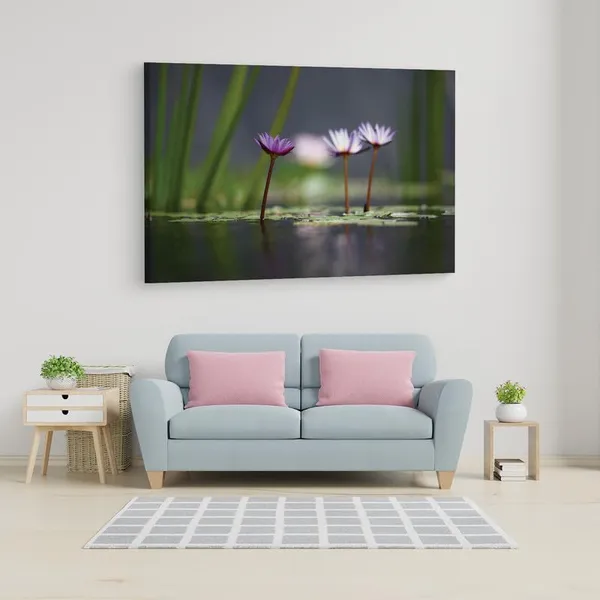 Multicolor_16_X_24_Inch,_Pine_Wood_Framed_Canvas_Paintings_|_For_Home_Decor,_Ready_To_Wall_Hanging,_Premium_Painting_|_For_|_Bedroom,_Living_Room,_Office_Wall_Decoration_|_Wall_Art_Painting,_Ct1049