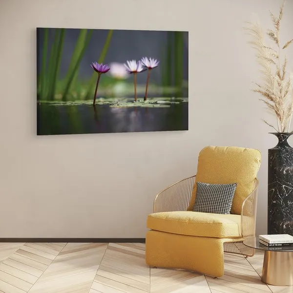 Multicolor_16_X_24_Inch,_Pine_Wood_Framed_Canvas_Paintings_|_For_Home_Decor,_Ready_To_Wall_Hanging,_Premium_Painting_|_For_|_Bedroom,_Living_Room,_Office_Wall_Decoration_|_Wall_Art_Painting,_Ct1049
