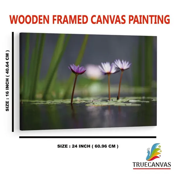 Multicolor_16_X_24_Inch,_Pine_Wood_Framed_Canvas_Paintings_|_For_Home_Decor,_Ready_To_Wall_Hanging,_Premium_Painting_|_For_|_Bedroom,_Living_Room,_Office_Wall_Decoration_|_Wall_Art_Painting,_Ct1049