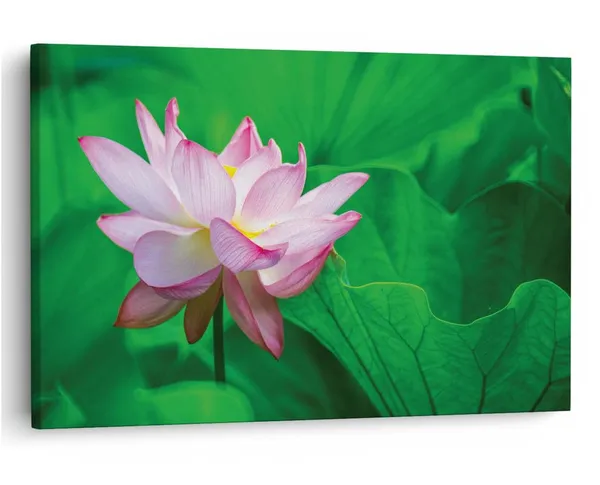 Multicolor_16_X_24_Inch,_Pine_Wood_Framed_Canvas_Paintings_|_For_Home_Decor,_Ready_To_Wall_Hanging,_Premium_Painting_|_For_|_Bedroom,_Living_Room,_Office_Wall_Decoration_|_Wall_Art_Painting,_Ct1065
