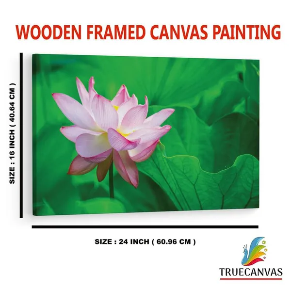 Multicolor_16_X_24_Inch,_Pine_Wood_Framed_Canvas_Paintings_|_For_Home_Decor,_Ready_To_Wall_Hanging,_Premium_Painting_|_For_|_Bedroom,_Living_Room,_Office_Wall_Decoration_|_Wall_Art_Painting,_Ct1065