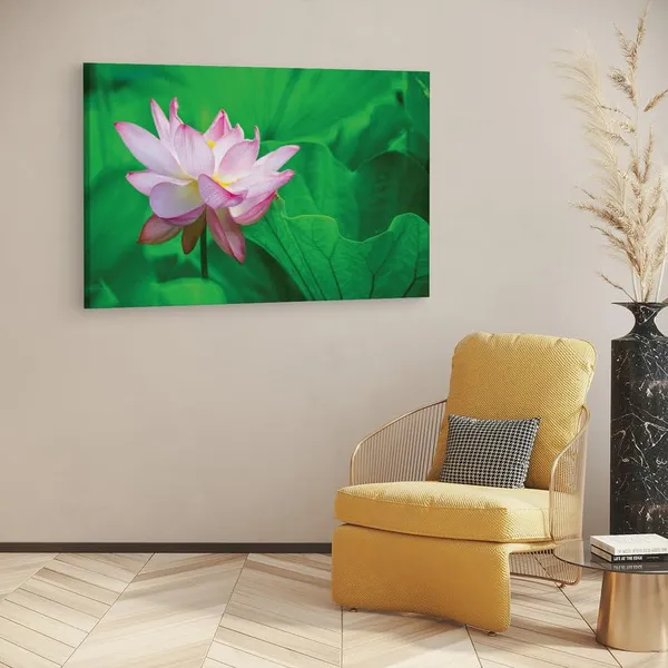 Multicolor_16_X_24_Inch,_Pine_Wood_Framed_Canvas_Paintings_|_For_Home_Decor,_Ready_To_Wall_Hanging,_Premium_Painting_|_For_|_Bedroom,_Living_Room,_Office_Wall_Decoration_|_Wall_Art_Painting,_Ct1065