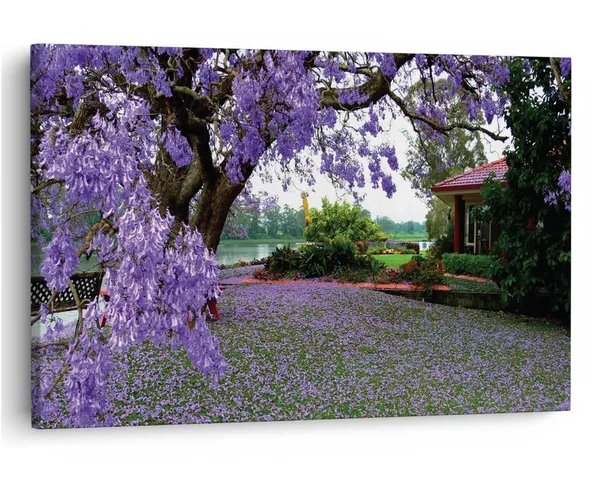 Multicolor_16_X_24_Inch,_Pine_Wood_Framed_Canvas_Paintings_|_For_Home_Decor,_Ready_To_Wall_Hanging,_Premium_Painting_|_For_|_Bedroom,_Living_Room,_Office_Wall_Decoration_|_Wall_Art_Painting,_Ct1067
