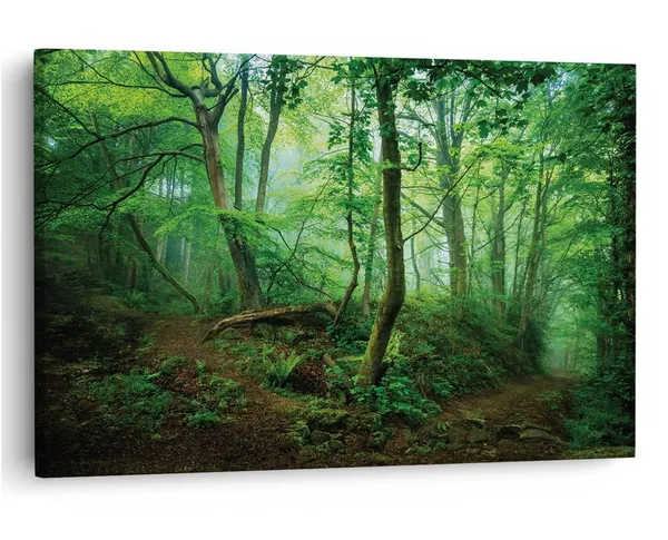 Multicolor_16_X_24_Inch,_Pine_Wood_Framed_Canvas_Paintings_|_For_Home_Decor,_Ready_To_Wall_Hanging,_Premium_Painting_|_For_|_Bedroom,_Living_Room,_Office_Wall_Decoration_|_Wall_Art_Painting,_Ct1074