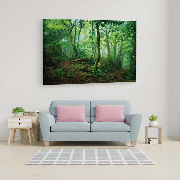 Multicolor_16_X_24_Inch,_Pine_Wood_Framed_Canvas_Paintings_|_For_Home_Decor,_Ready_To_Wall_Hanging,_Premium_Painting_|_For_|_Bedroom,_Living_Room,_Office_Wall_Decoration_|_Wall_Art_Painting,_Ct1074