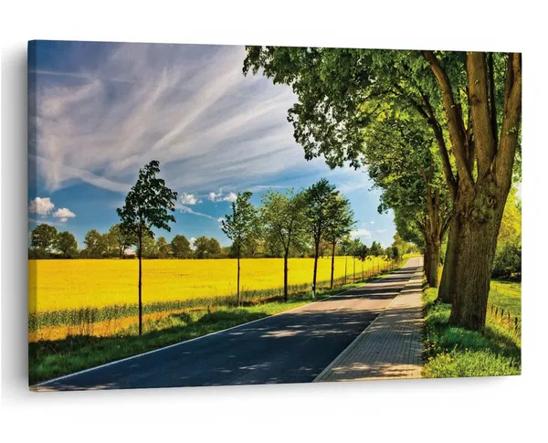 Multicolor_16_X_24_Inch,_Pine_Wood_Framed_Canvas_Paintings_|_For_Home_Decor,_Ready_To_Wall_Hanging,_Premium_Painting_|_For_|_Bedroom,_Living_Room,_Office_Wall_Decoration_|_Wall_Art_Painting,_Ct1081