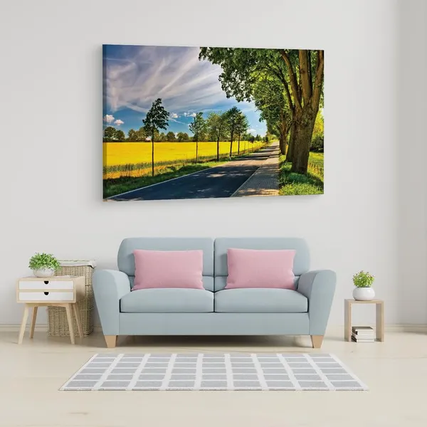 Multicolor_16_X_24_Inch,_Pine_Wood_Framed_Canvas_Paintings_|_For_Home_Decor,_Ready_To_Wall_Hanging,_Premium_Painting_|_For_|_Bedroom,_Living_Room,_Office_Wall_Decoration_|_Wall_Art_Painting,_Ct1081