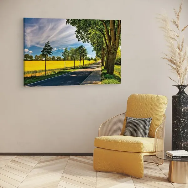 Multicolor_16_X_24_Inch,_Pine_Wood_Framed_Canvas_Paintings_|_For_Home_Decor,_Ready_To_Wall_Hanging,_Premium_Painting_|_For_|_Bedroom,_Living_Room,_Office_Wall_Decoration_|_Wall_Art_Painting,_Ct1081