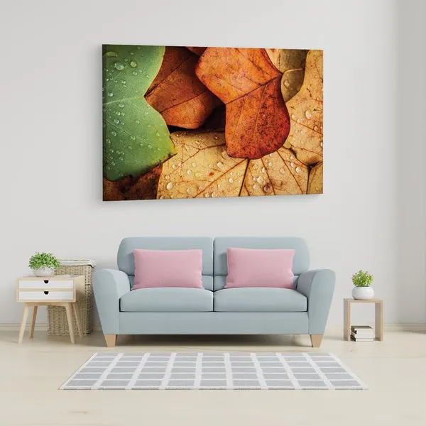 Multicolor_16_X_24_Inch,_Pine_Wood_Framed_Canvas_Paintings_|_For_Home_Decor,_Ready_To_Wall_Hanging,_Premium_Painting_|_For_|_Bedroom,_Living_Room,_Office_Wall_Decoration_|_Wall_Art_Painting,_Ct1089