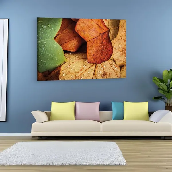 Multicolor_16_X_24_Inch,_Pine_Wood_Framed_Canvas_Paintings_|_For_Home_Decor,_Ready_To_Wall_Hanging,_Premium_Painting_|_For_|_Bedroom,_Living_Room,_Office_Wall_Decoration_|_Wall_Art_Painting,_Ct1089