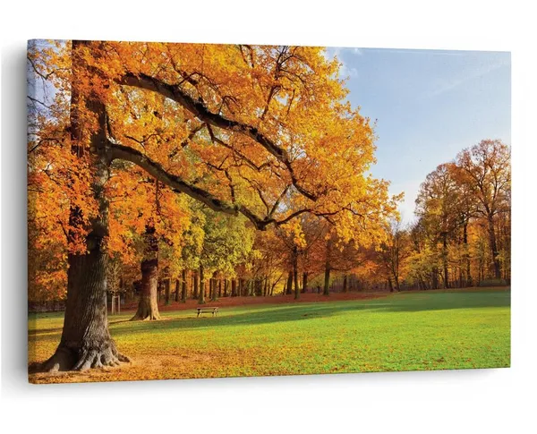 Multicolor_16_X_24_Inch,_Pine_Wood_Framed_Canvas_Paintings_|_For_Home_Decor,_Ready_To_Wall_Hanging,_Premium_Painting_|_For_|_Bedroom,_Living_Room,_Office_Wall_Decoration_|_Wall_Art_Painting,_Ct1098