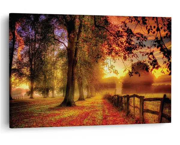 Multicolor_16_X_24_Inch,_Pine_Wood_Framed_Canvas_Paintings_|_For_Home_Decor,_Ready_To_Wall_Hanging,_Premium_Painting_|_For_|_Bedroom,_Living_Room,_Office_Wall_Decoration_|_Wall_Art_Painting,_Ct1107
