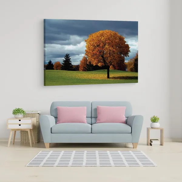 Multicolor_16_X_24_Inch,_Pine_Wood_Framed_Canvas_Paintings_|_For_Home_Decor,_Ready_To_Wall_Hanging,_Premium_Painting_|_For_|_Bedroom,_Living_Room,_Office_Wall_Decoration_|_Wall_Art_Painting,_Ct1112