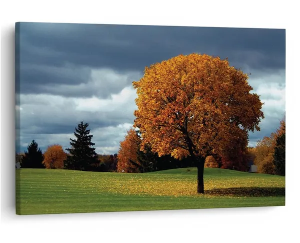 Multicolor_16_X_24_Inch,_Pine_Wood_Framed_Canvas_Paintings_|_For_Home_Decor,_Ready_To_Wall_Hanging,_Premium_Painting_|_For_|_Bedroom,_Living_Room,_Office_Wall_Decoration_|_Wall_Art_Painting,_Ct1112