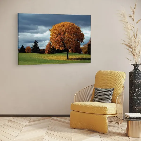 Multicolor_16_X_24_Inch,_Pine_Wood_Framed_Canvas_Paintings_|_For_Home_Decor,_Ready_To_Wall_Hanging,_Premium_Painting_|_For_|_Bedroom,_Living_Room,_Office_Wall_Decoration_|_Wall_Art_Painting,_Ct1112