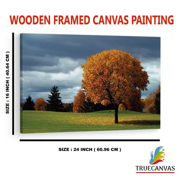 Multicolor_16_X_24_Inch,_Pine_Wood_Framed_Canvas_Paintings_|_For_Home_Decor,_Ready_To_Wall_Hanging,_Premium_Painting_|_For_|_Bedroom,_Living_Room,_Office_Wall_Decoration_|_Wall_Art_Painting,_Ct1112