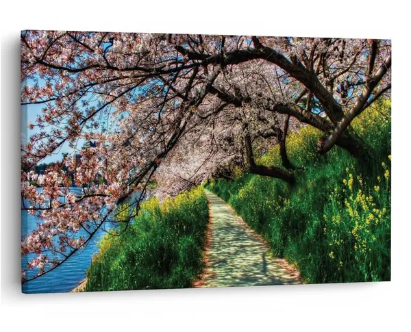 Multicolor_16_X_24_Inch,_Pine_Wood_Framed_Canvas_Paintings_|_For_Home_Decor,_Ready_To_Wall_Hanging,_Premium_Painting_|_For_|_Bedroom,_Living_Room,_Office_Wall_Decoration_|_Wall_Art_Painting,_Ct1113