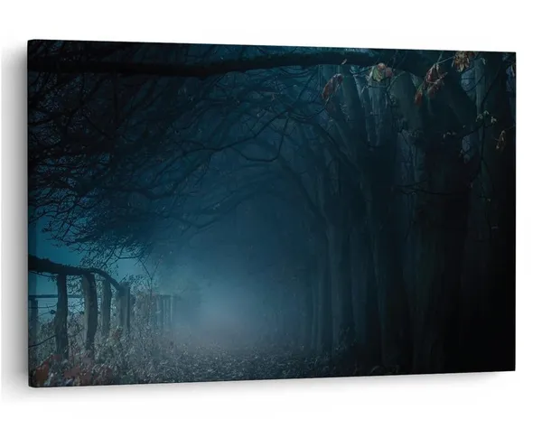 Multicolor_16_X_24_Inch,_Pine_Wood_Framed_Canvas_Paintings_|_For_Home_Decor,_Ready_To_Wall_Hanging,_Premium_Painting_|_For_|_Bedroom,_Living_Room,_Office_Wall_Decoration_|_Wall_Art_Painting,_Ct1118