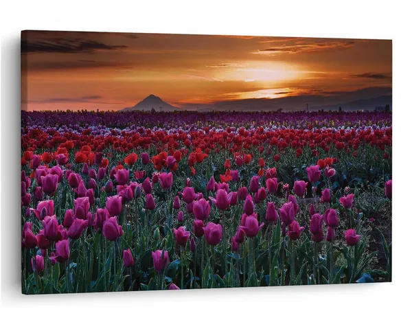 Multicolor_16_X_24_Inch,_Pine_Wood_Framed_Canvas_Paintings_|_For_Home_Decor,_Ready_To_Wall_Hanging,_Premium_Painting_|_For_|_Bedroom,_Living_Room,_Office_Wall_Decoration_|_Wall_Art_Painting,_Ct1126